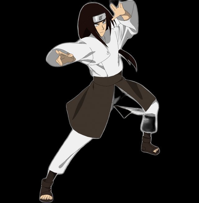 Neji Hyuga — Byakugan Prodigy